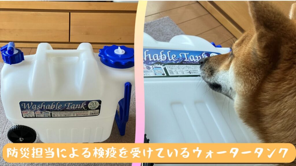 ポリタンクとそれに興味津々の柴犬