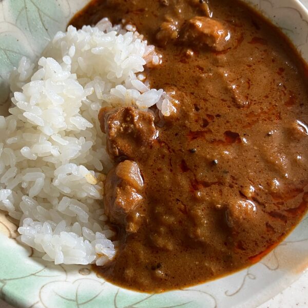 国産鶏のスパイシーカレー