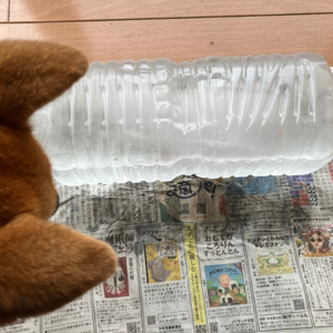 凍らせたペットボトル